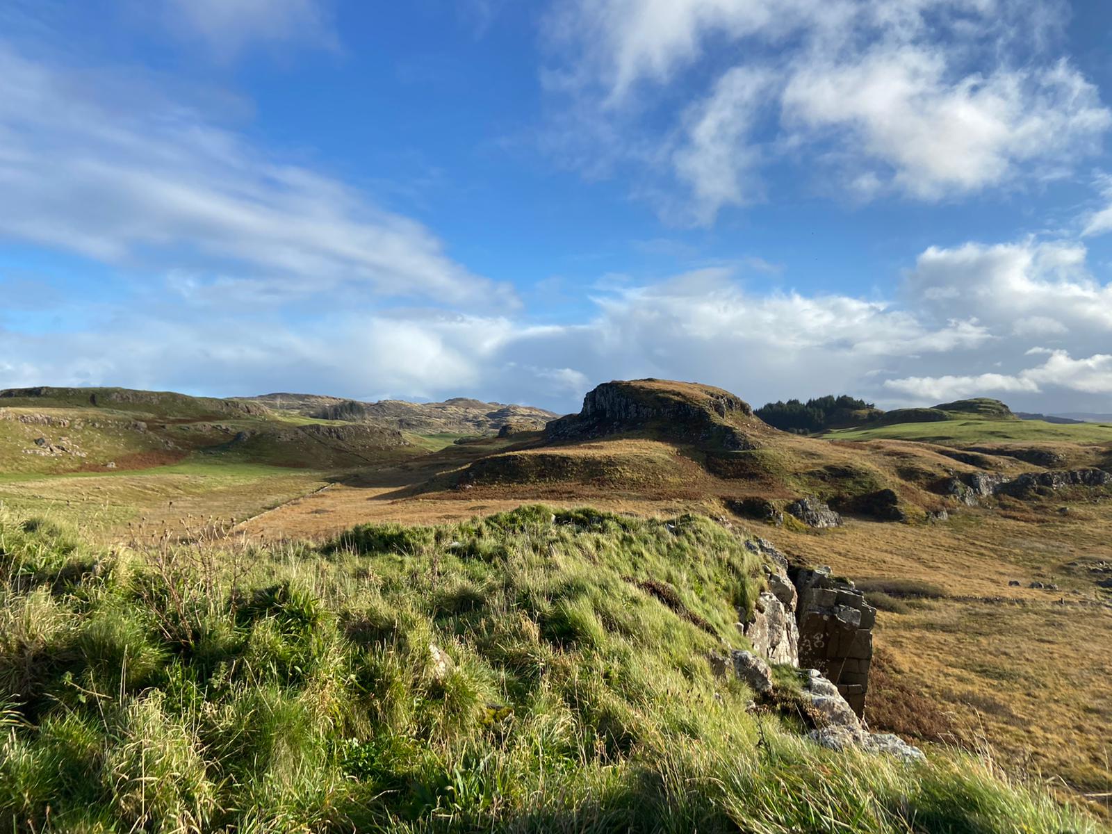 Whale Watching In Scotland | Travelling Whale